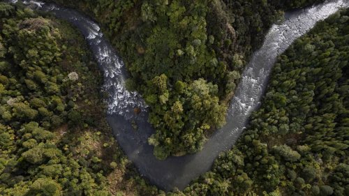 Whanganui River's personhood status offers hope to Māori