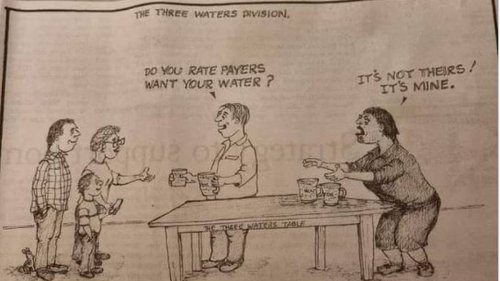 The Spinoff: West Coast newspaper faces backlash over 'racist' cartoon