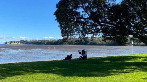 Family-friendly day trips in Auckland: Prams and dogs welcome too