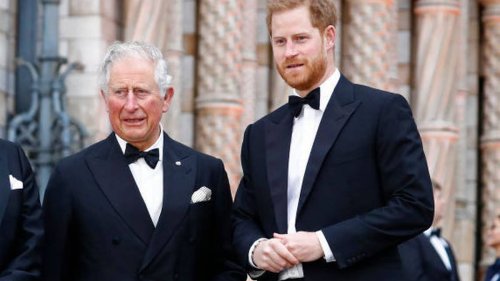Prince Charles' public praise of Prince Harry amid reports they barely speak - NZ Herald
