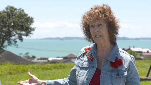 Realtor Janet Dickson facing five-year ban for refusing Māori values course