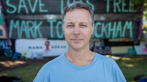 auckland-tree-protest-resident-chained-to-crane-to-save-protected-macrocarpa-at-ockham