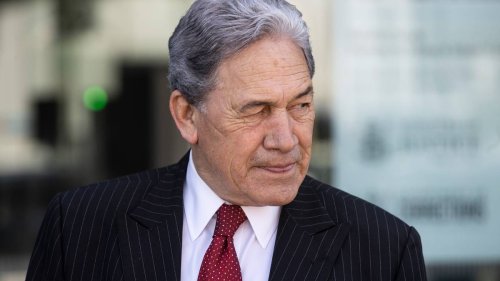 Winston Peters says Judith Collins displayed terrible judgment, queries Simon Bridges' business skills - NZ Herald