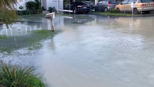 Delayed response from Watercare as Point Chevalier street in Auckland floods