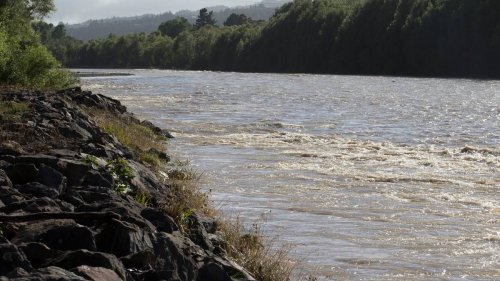 Missing 5-year-old boy found dead in Hutt River
