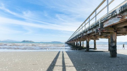 Police investigating after foot found on Petone Beach in Wellington