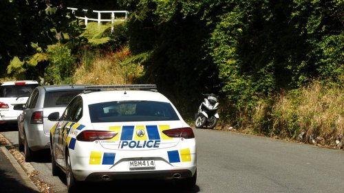 Police search property in quiet Wellington suburb, Armed Offenders Squad attend