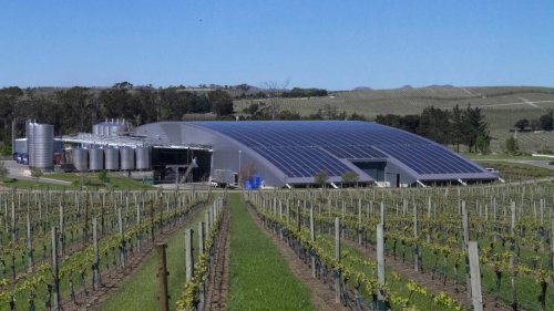 Marlborough Lines looking to sell down investment in Yealands Wine Group