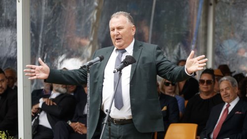 NZ First’s Shane Jones calls out Waitangi Tribunal - again - for ‘overstepping its brief’