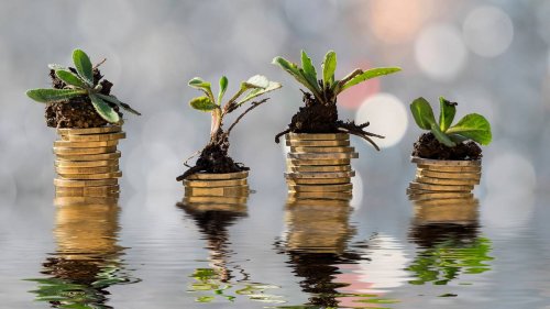 Continuous Disclosure: How green finance actually works