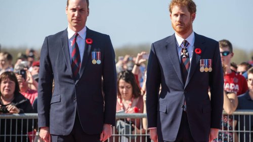 Daniela Elser: New claim Prince William 'won't answer Harry's calls' - NZ Herald
