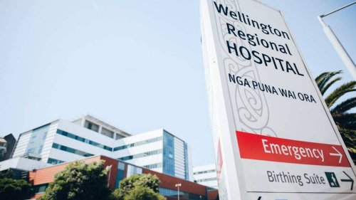 Nurses at Wellington Hospital 'burnt out' as patient numbers climb