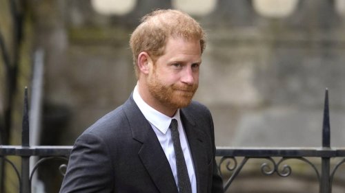 Prince Harry cannot win his war against the media