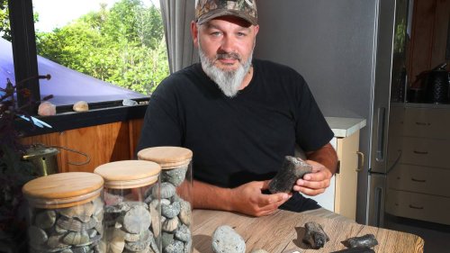 Amateur fossil hunter finds more than 100 moa bones on Whanganui beach
