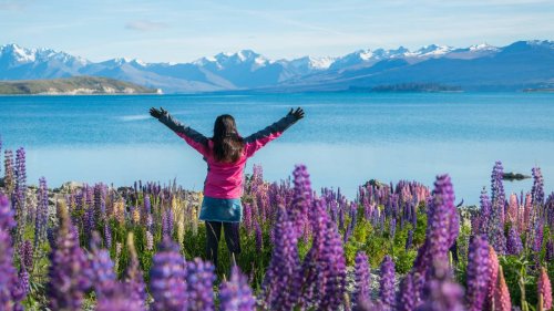 The annual income you need to be happy in New Zealand, world salary study claims