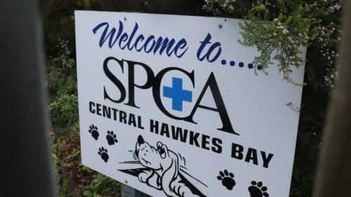 SPCA accused of acting by stealth with closure of town's centre