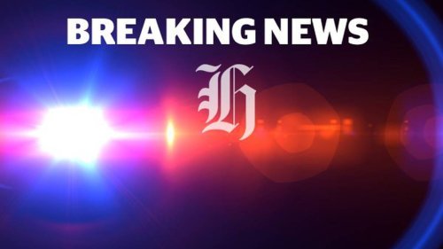 Man arrested, firearm seized after police respond to incident in South Auckland - NZ Herald