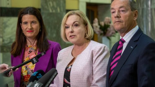 Political Roundup: The low standards in the National Party - NZ Herald