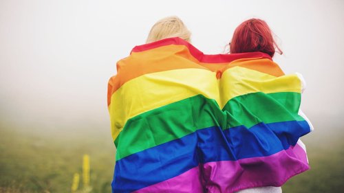 ‘Lil Gay Out:’ Hobsonville Point Secondary School cancels LGBTQ+ event after protest threats