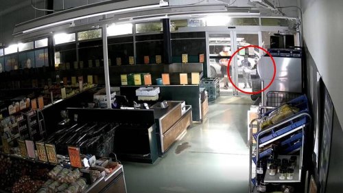 Watch: ‘It’s not like golden kumara is actual gold’ - Auckland fruit shop raided by 2 kids, adult