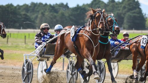 Horse racing: Empire City latest star to emerge under supremo Phil Williamson
