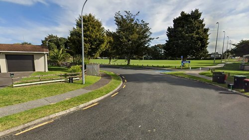 Rotorua woman Stevee Ormsby found guilty of assaulting self-appointed parking warden