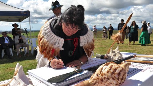 ‘This is immense’: Puketotara farm leased to Northland’s Te Whiu hapū after generations-long fight for its return