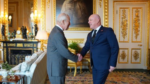 Luxon meets King Charles following death of Pope Francis