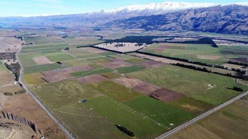 Auckland developer says 130ha farm pivotal in Tarras development proposal - NZ Herald