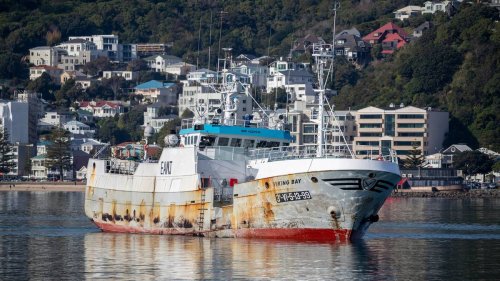 Covid 19 coronavirus: Viking Bay mariners broke MIQ rules in Wellington - NZ Herald