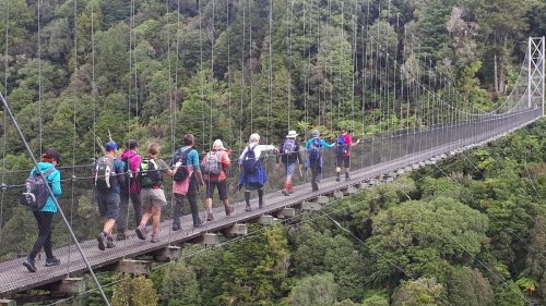 Taupō walks: From Huka Falls to the Timber Trail