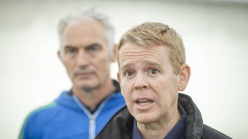 Heather du Plessis-Allan: Stuart Nash and Marama Davidson a headache for Chris Hipkins