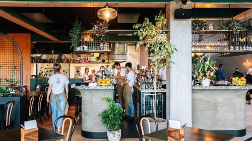 An Insider’s Guide to Kirikiriroa Hamilton