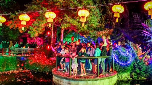 Osmanthus Gardens Lantern Festival: China-Hastings relationship celebrated at expanded event