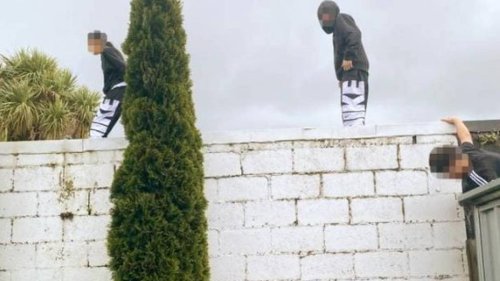 Fence-jumping youths starting to enter Christchurch houses