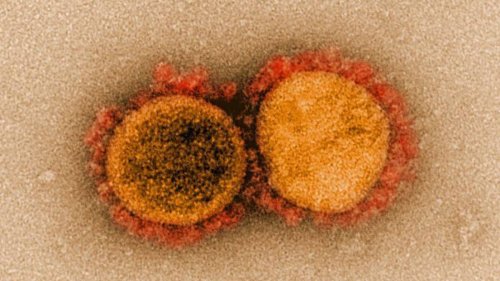 Covid-19 coronavirus: Superspreader - woman infects 71 people in 60 seconds in elevator: CDC study