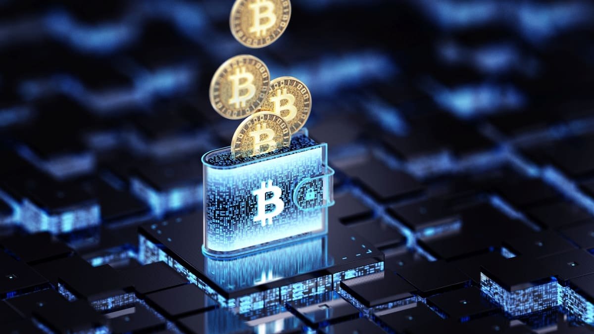 Dasset collapse: Good and bad news for customers of failed Auckland cryptocurrency exchange