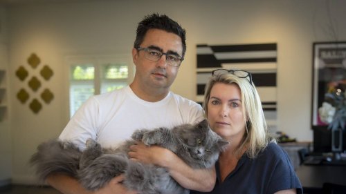 Where is Minka? Family cat missing from “luxury” cattery