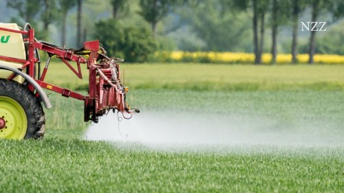 Weniger Pestizide – mehr Biodiversität? Die wichtigsten Fragen zu den neuen Regelvorschlägen der EU