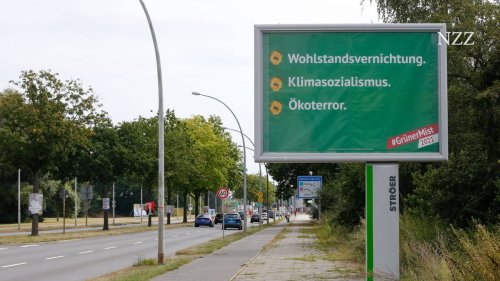 Plakate gegen Grüne: «Wir wenden uns gegen Positionen, nicht Personen»