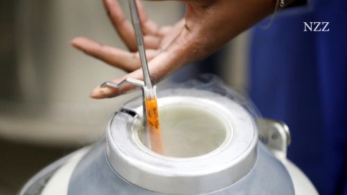 Ein Baby als Bonus: Firmen zahlen an Fruchtbarkeitsbehandlungen ihrer Mitarbeitenden
