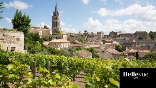 Fünf tolle Bordeauxweine mit Jahrgang 2022, die einen Kauf lohnen