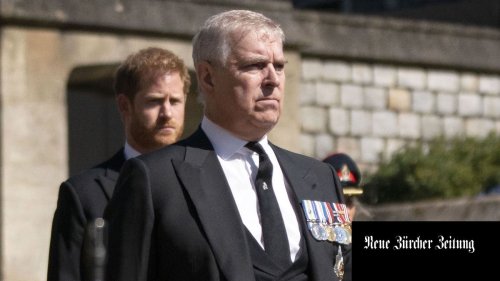 Missbrauchsvorwürfe gegen Prinz Andrew: Die britische Fahne soll am Geburtstag des Prinzen nicht mehr über dem Rathaus von Belfast wehen