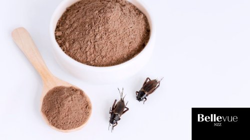 Insekten im Essen – und jetzt?