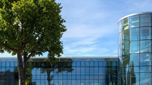 Diese Spitzenweine aus dem Bordelais und Kalifornien besitzen bestes Alterungspotenzial
