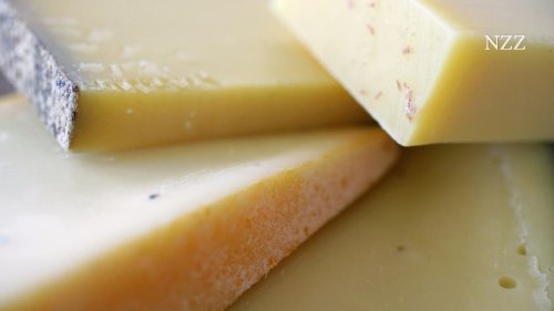 Wenn Käse lebensgefährlich wird – Betriebsleiter wegen fahrlässiger Tötung von sieben Menschen angeklagt