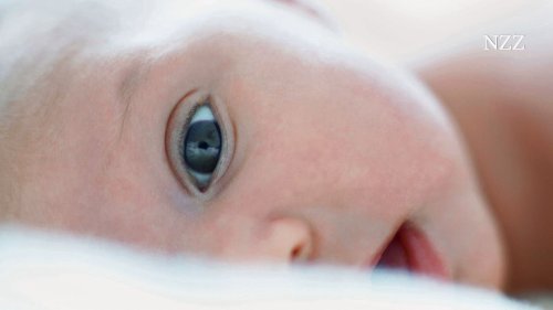 Die Kinder von 5010: Sieben Frauen auf zwei Kontinenten wählten den gleichen Samenspender aus