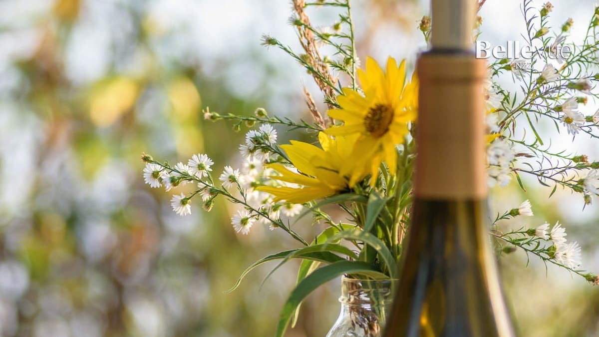 Diese fruchtig-leichten Weissweine empfehlen die Weinhändler für den Frühling