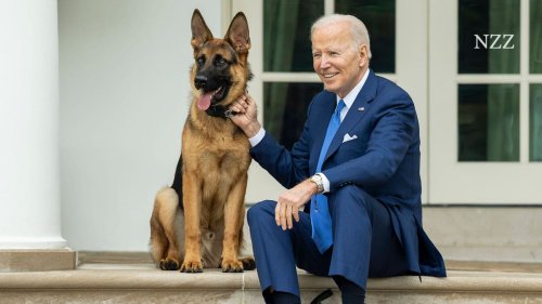 «First Dog» Commander sorgte im Weissen Haus für Panik