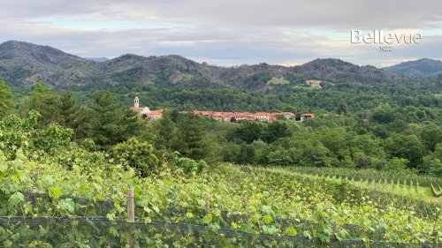 Es muss nicht immer Barolo sein: Charaktervolle Nebbiolo-Weine aus den Alpen